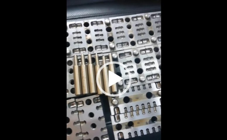 军品商城-精品母鸡展示视频