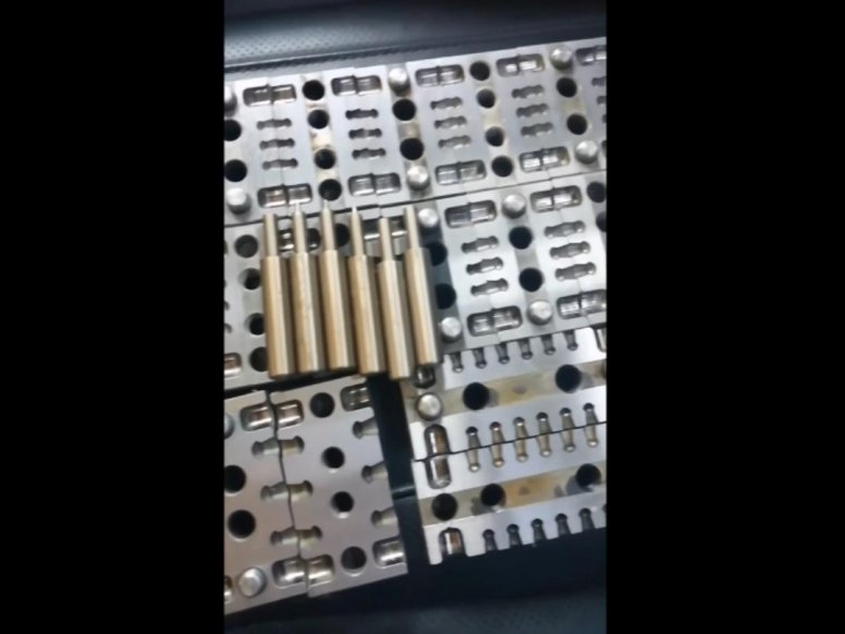 军品商城-精品母鸡展示视频