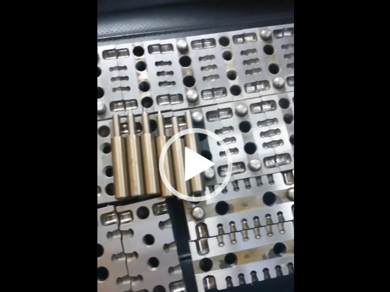 军品商城-精品母鸡展示视频